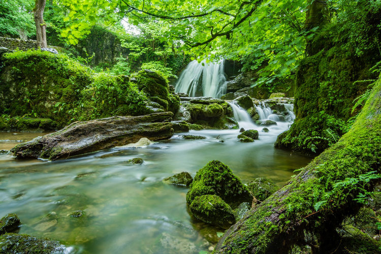 余氯測(cè)定儀